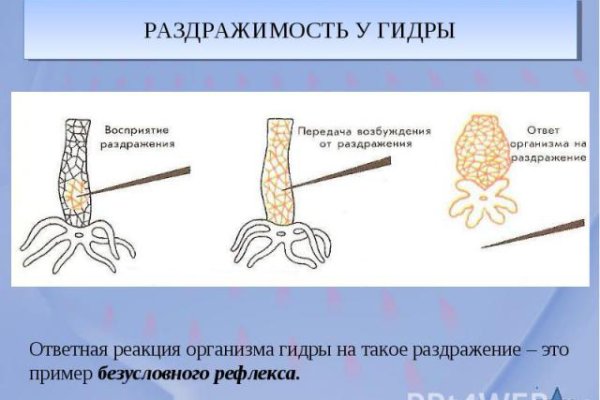 Кракен шоп даркнет