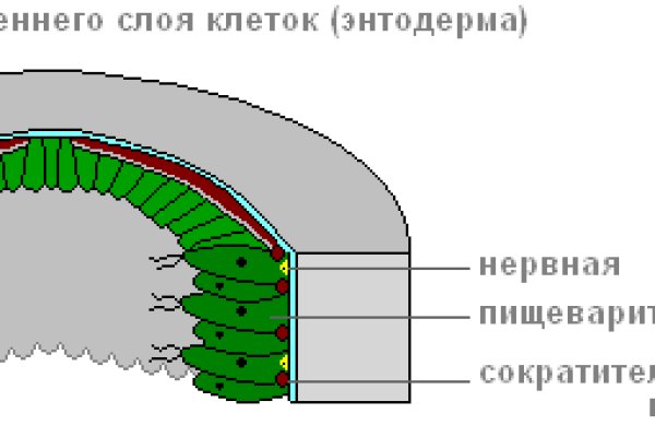 Как войти на сайт кракен