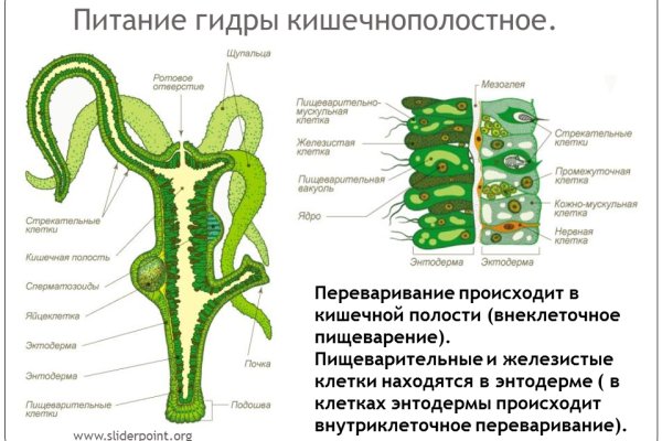 Кракен купить гашиш